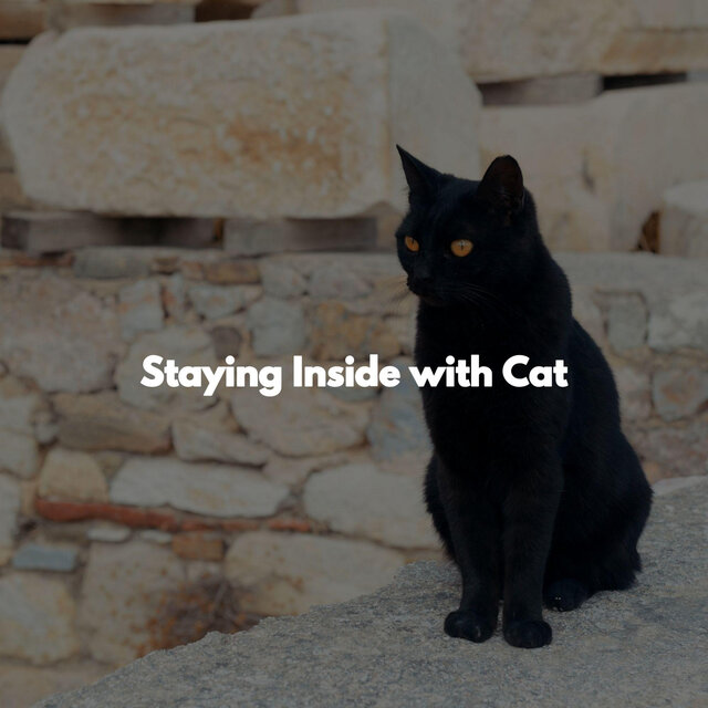 Staying Inside with Cat