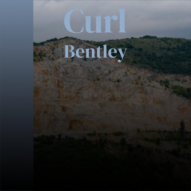 Curl Bentley
