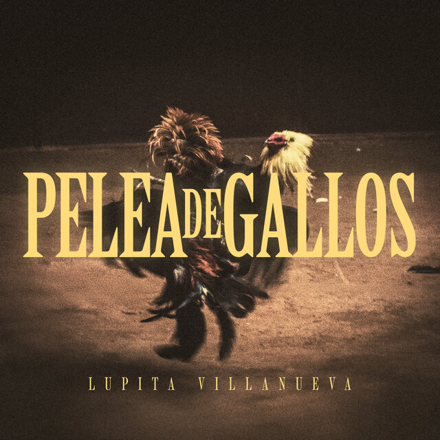 Pelea de Gallos
