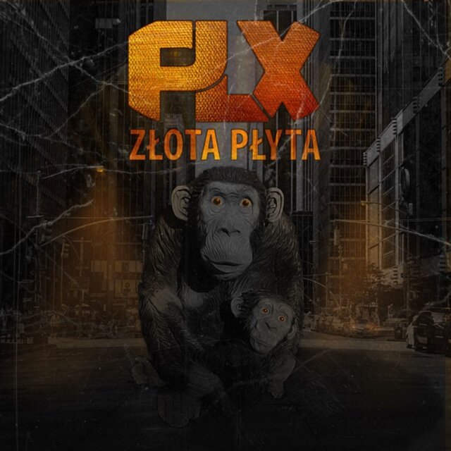 Złota Płyta