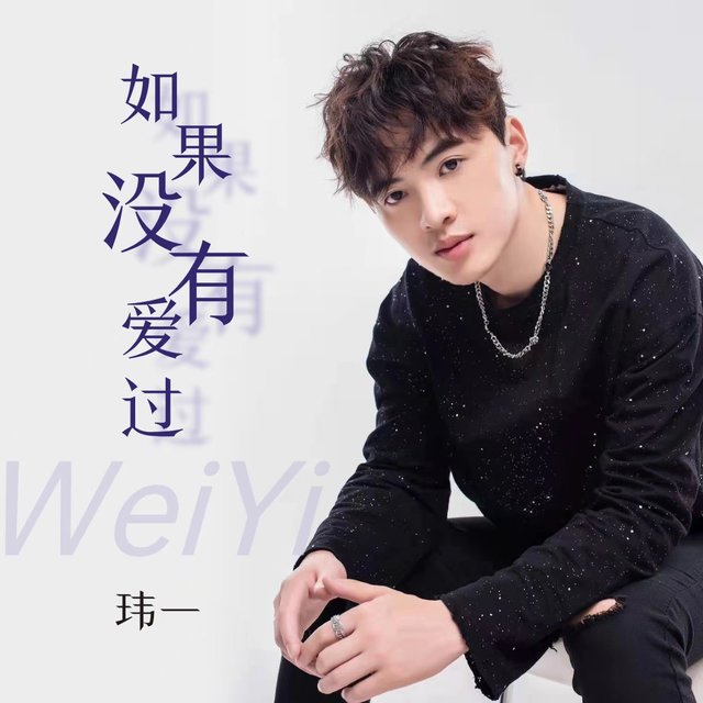 如果没有爱过 (DJ沈念版)