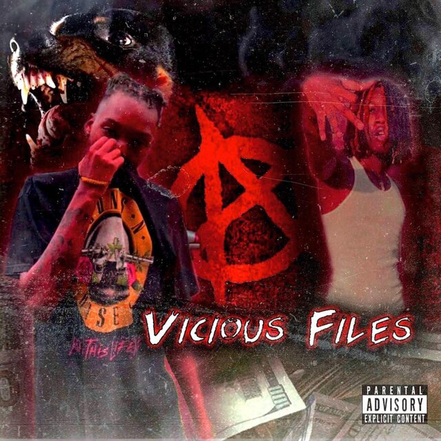 VICIOUS FILES