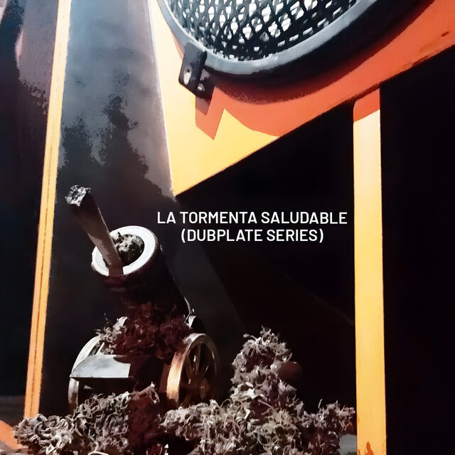 La tormenta saludable (dubplate series)