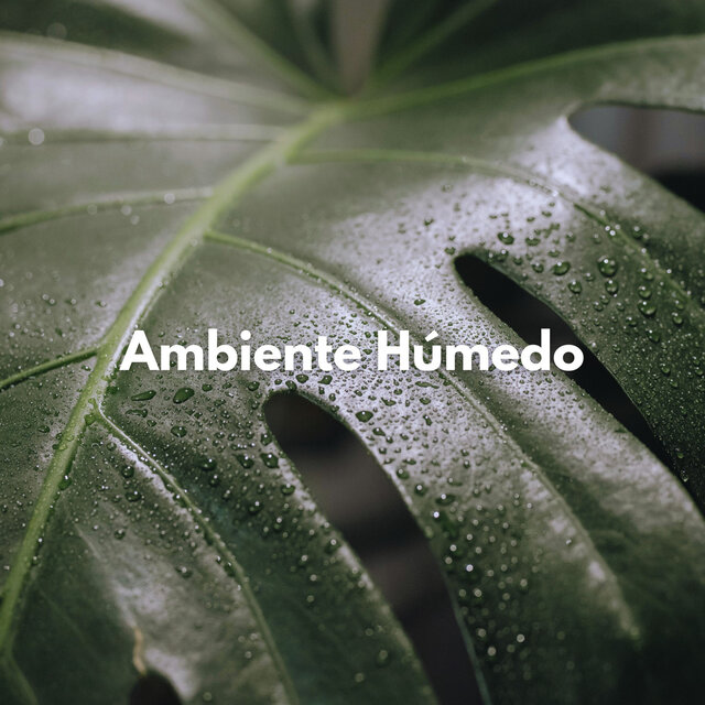 Ambiente Húmedo