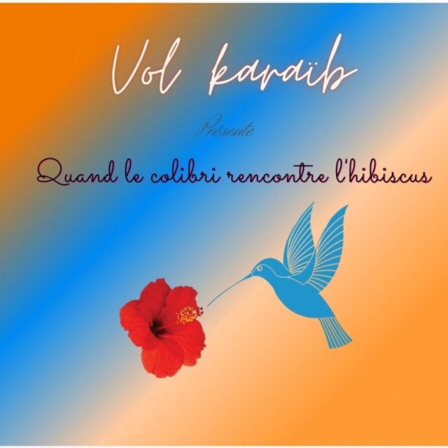 Quand le colibri rencontre l'hibiscus