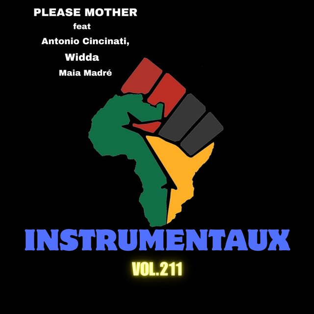 instrumentaux vol.211