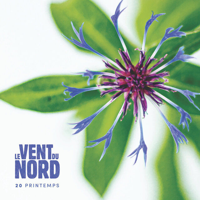 20 printemps