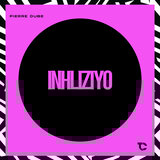 Inhliziyo