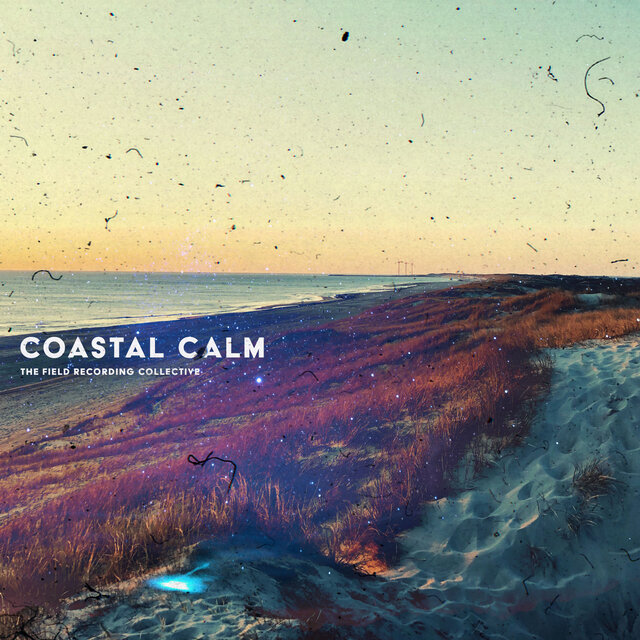 Coastal Calm