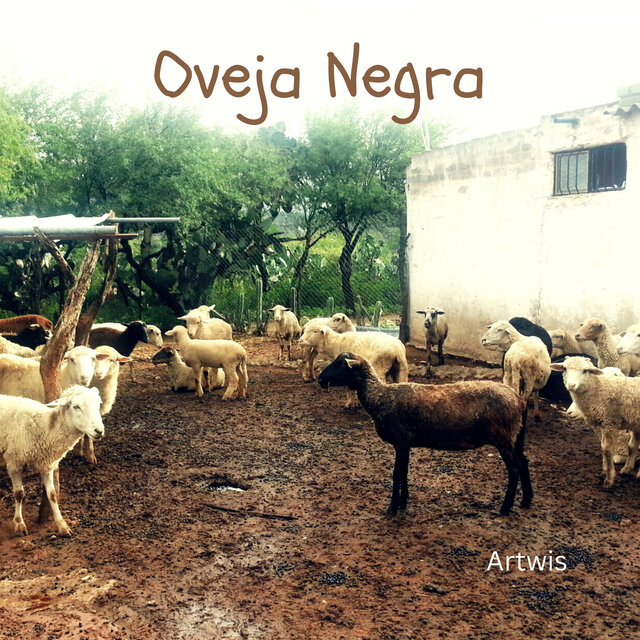 Oveja Negra