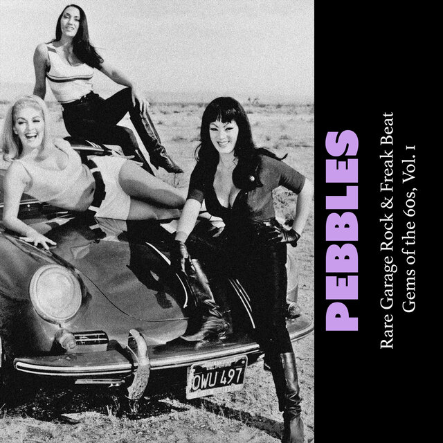 Pebbles: Rare Garage Rock & Freak Beat Gems of the 60s, Vol. 1