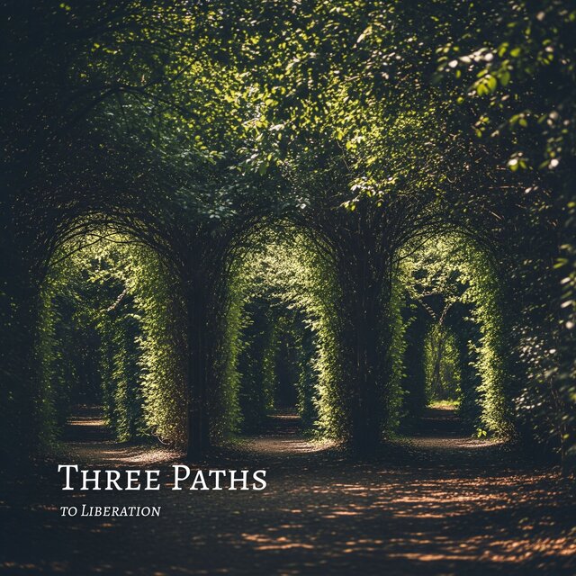 Three Paths to Liberation