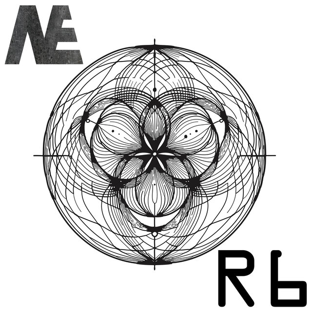 R6