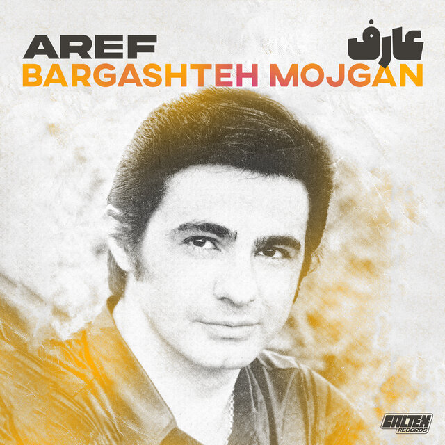 Bargashteh Mojgan