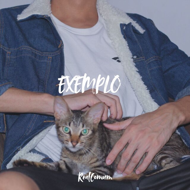 Exemplo
