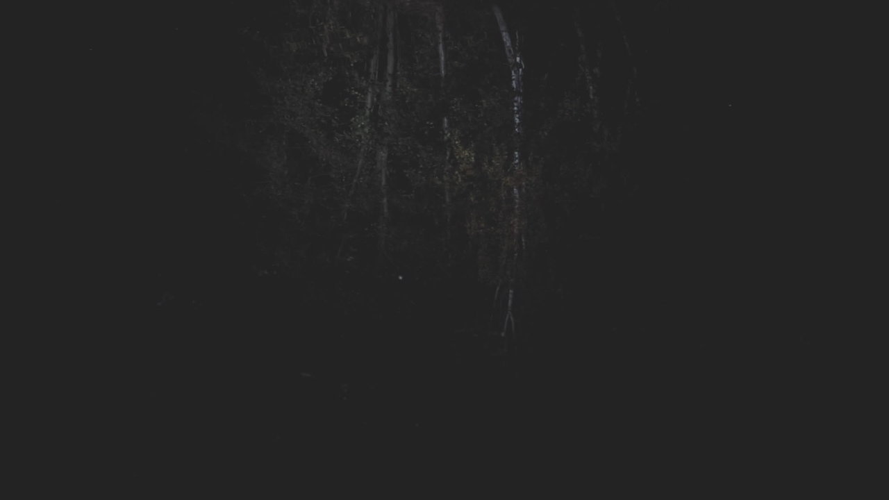 The Blackwater