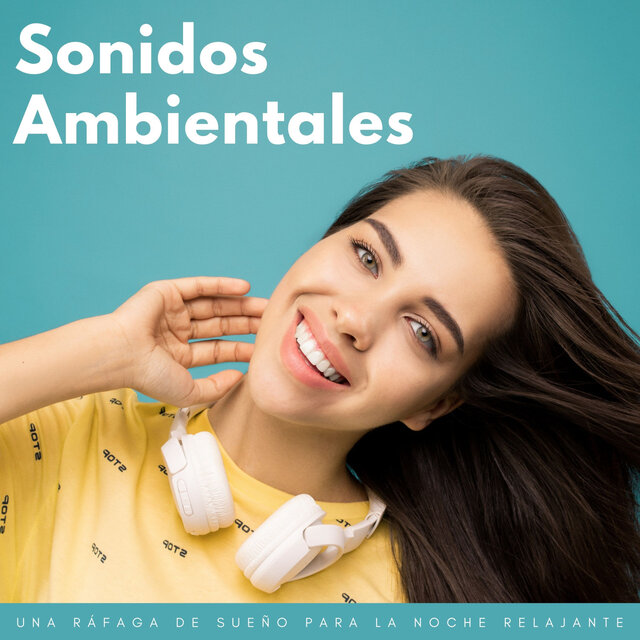 Sonidos Ambientales: Una Ráfaga De Sueño Para La Noche Relajante