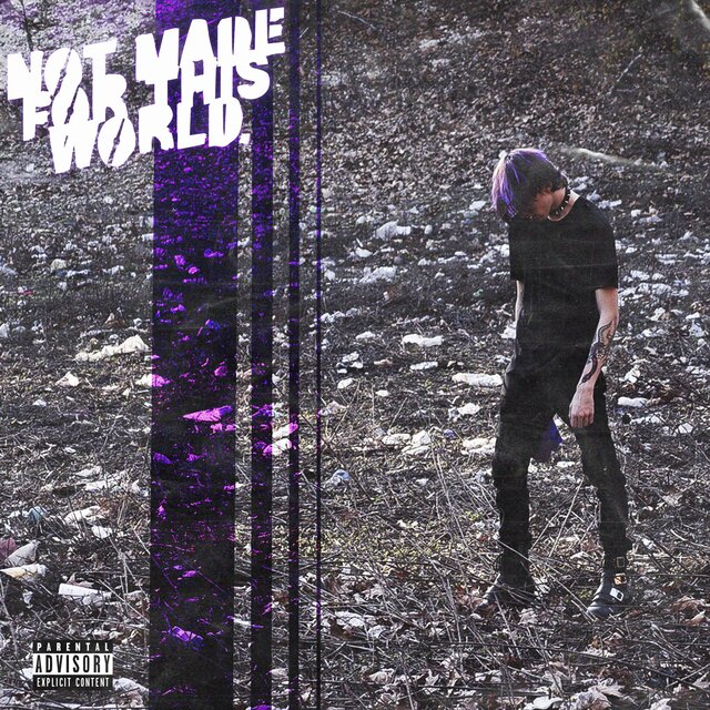NOT MADE FOR THIS WORLD.