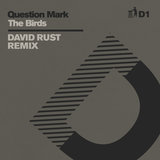 The Birds (David Rust Extended Remix - D1)