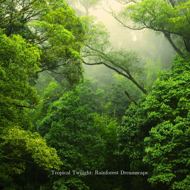 Tropical Twilight: Rainforest Dreamscape
