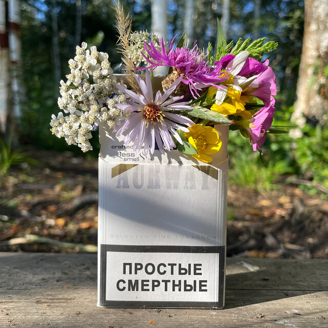 Простые смертные