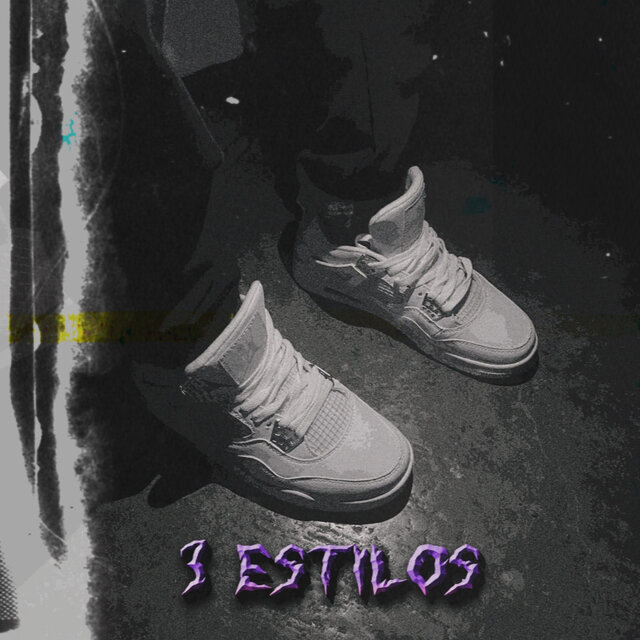 3 Estilos