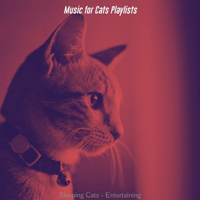 Sleeping Cats - Entertaining