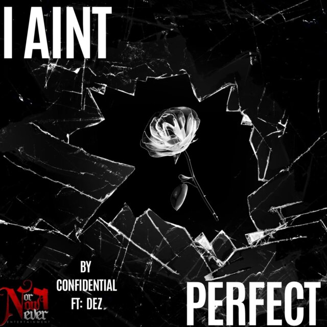I Ain’t Perfect
