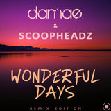 Wonderful Days (Deemil Remix)