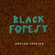 Cover art for album Analog Session by Black Forest