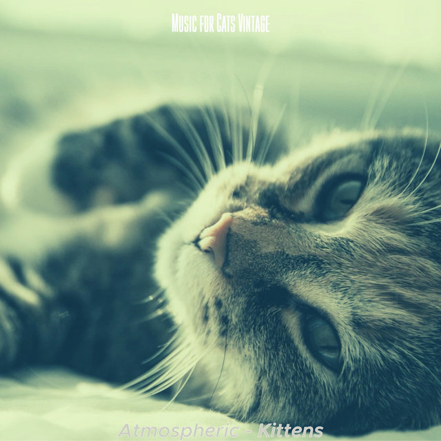 Atmospheric - Kittens