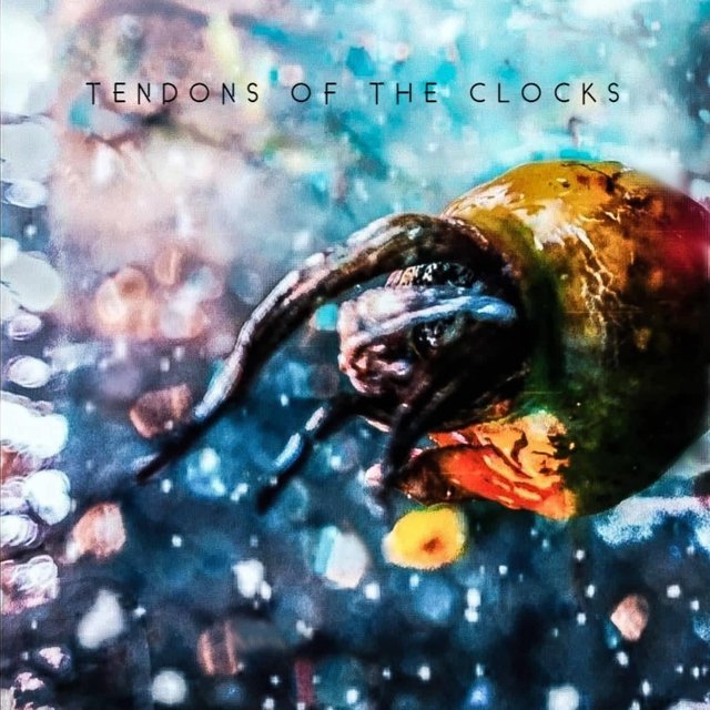 Tendons of the Clocks