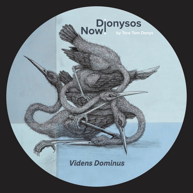 Videns Dominus