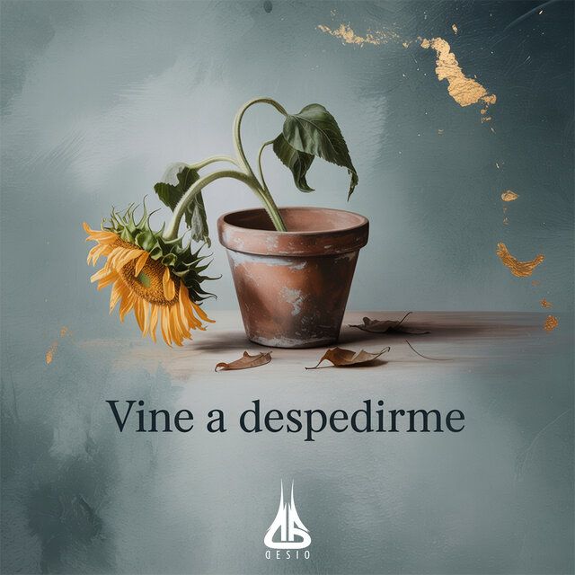 Vine a Despedirme