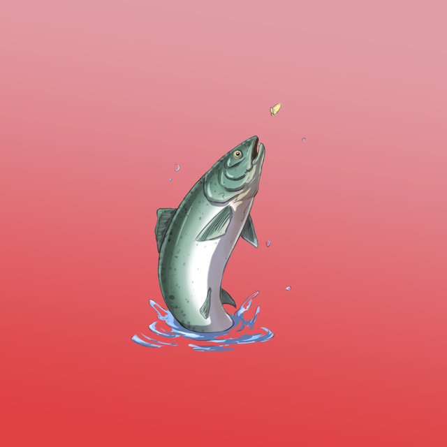 Catch of the Day