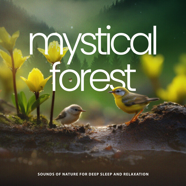 Mystical Forest