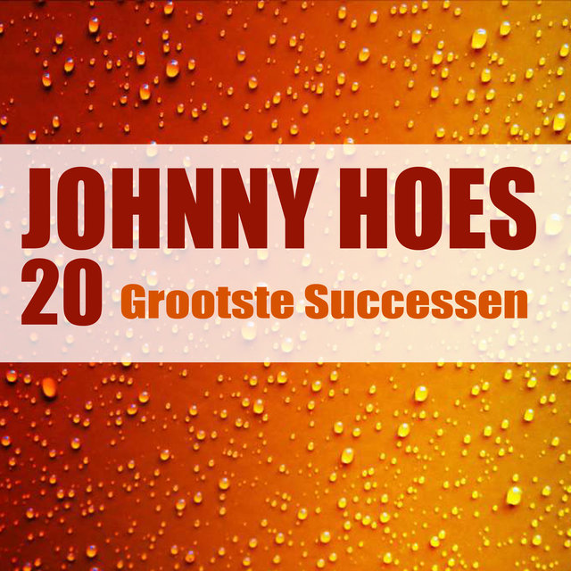 20 Grooste Successen