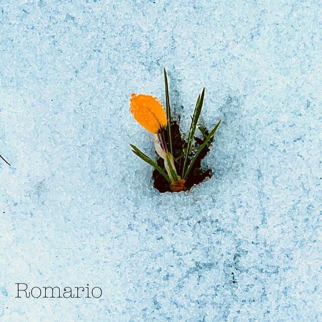 Romario