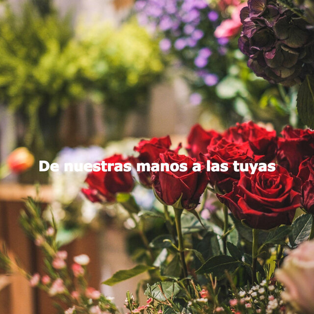 De nuestras manos a las tuyas