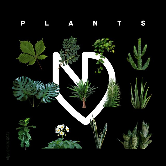 Plants