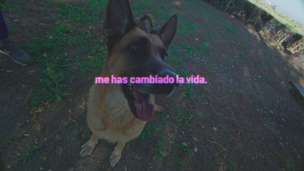Me Has Cambiado la Vida