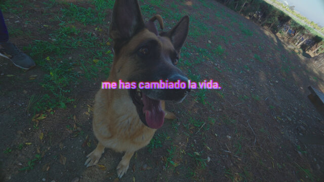 Me Has Cambiado la Vida