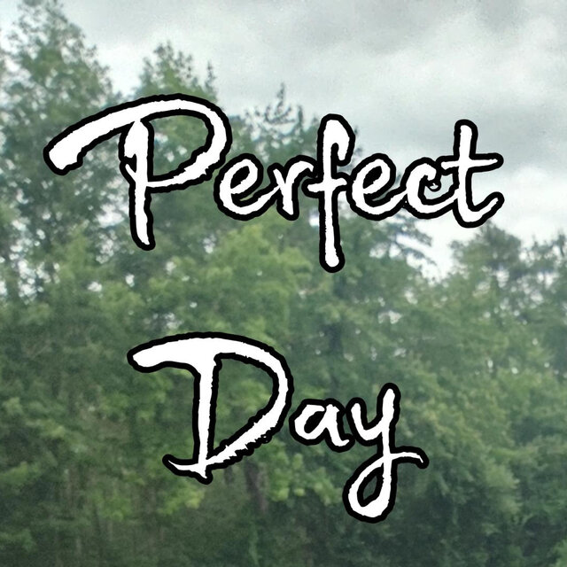 Perfect Day