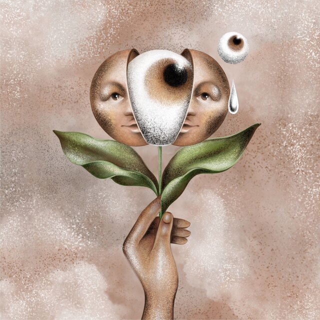 A Planta