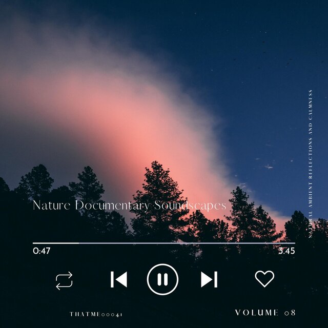 Nature Documentary Soundscapes - Natural Ambient Reflections and Calmness, Vol. 08