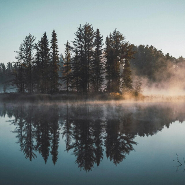 Forest of Forgetfulness