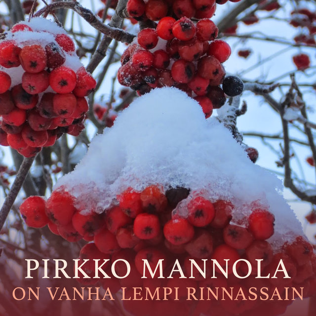 On Vanha Lempi Rinnassain