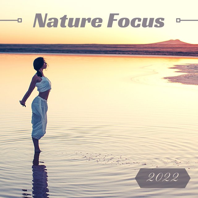 Nature Focus 2022 - Relaxing Nature Sounds to Focus in the Right Direction