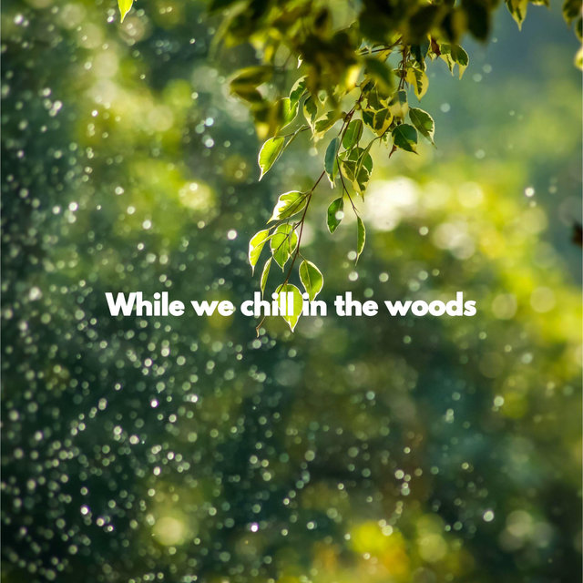 While we chill in the woods