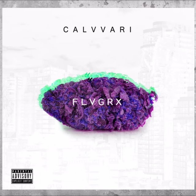 Flvgrx